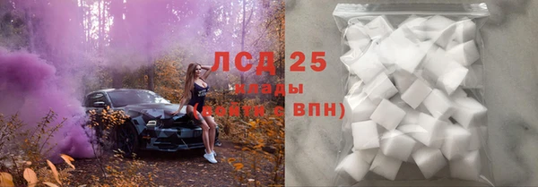 PSILOCYBIN Алзамай