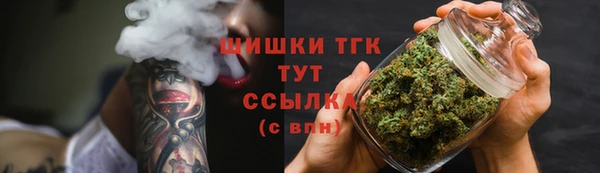 PSILOCYBIN Алзамай