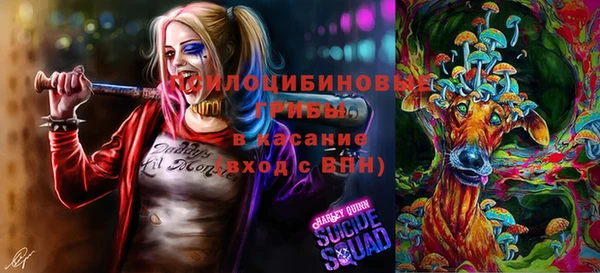 PSILOCYBIN Алзамай