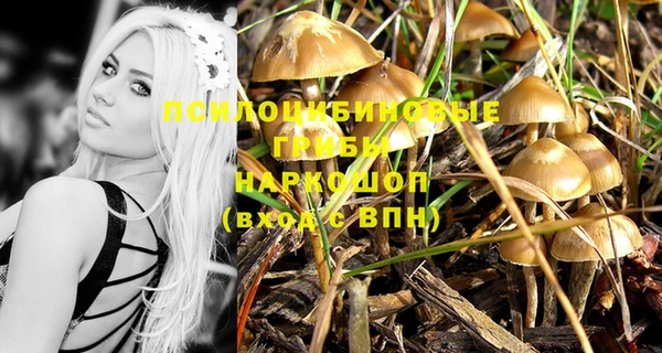 PSILOCYBIN Алзамай