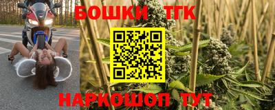 спиды Аргун