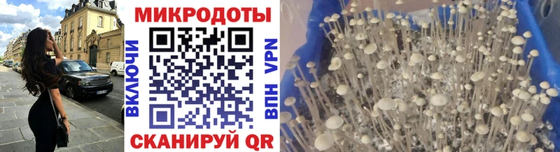 Галлюциногенные грибы мицелий Аша