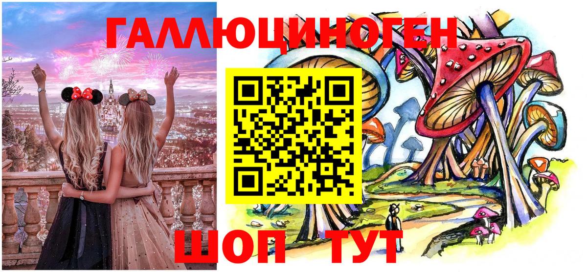магазин продажи   Вход с VPN  Аша  Галлюциногенные грибы GOLDEN TEACHER  Псилоцибиновые грибы Psilocybe 