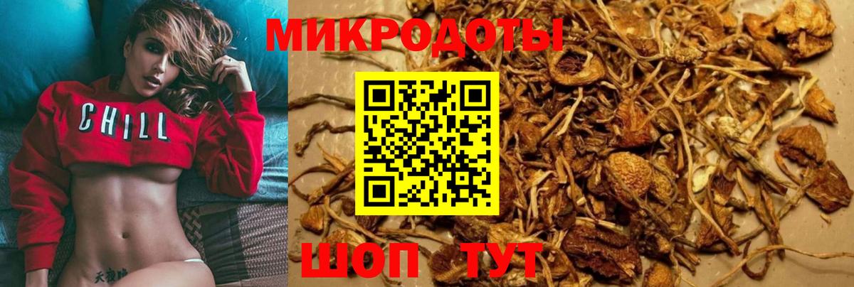 Псилоцибиновые грибы Magic Shrooms  закладки  Аша 